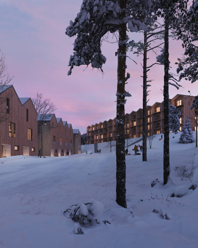 Architectural visualisation of a multi-residential building in the polish mountains in winter